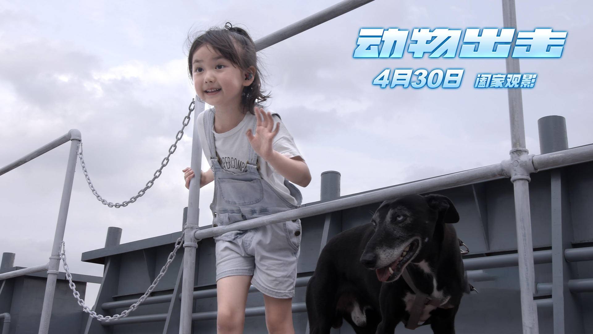 《动物出击》:国内首部"真动物"大电影,实力突围五一档