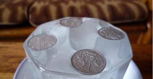 水黾为什么可以"站"在水面上?与浮力无关,人类可以吗?