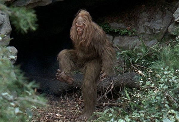 2名徒步者声称目击"大脚怪",身高超2米,在丛林中活动