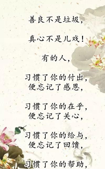 别把善良给错了人