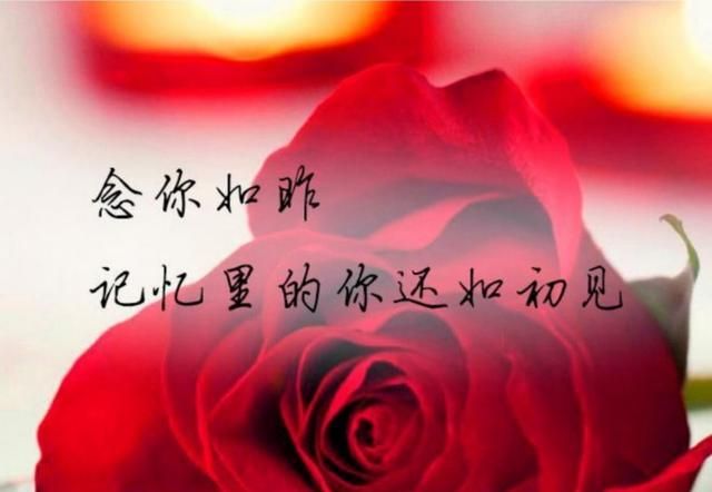 这首歌,听着那伤感的旋律,应和着自己失去你的落寞心情,泪不停地流落