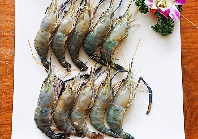 越南湄公河大虾泛滥,当地人无计可施,想请中国游客帮忙