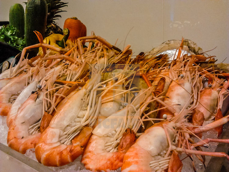 越南虾王现身长江,体长40厘米重达1斤,会在中国泛滥吗?