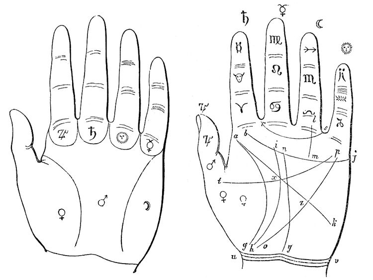 手心主之筋起于中指从手指看相来分析中指预测你一生运势