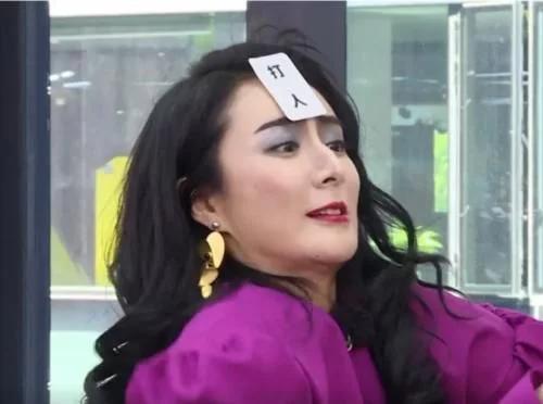 极限挑战宋小宝和薇娅互相敲头表情成为亮点