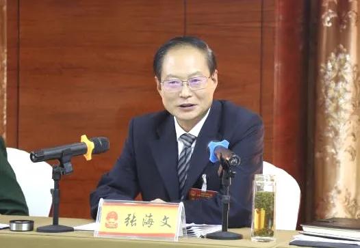 张海文 肖芳参加彬州市代表团审议