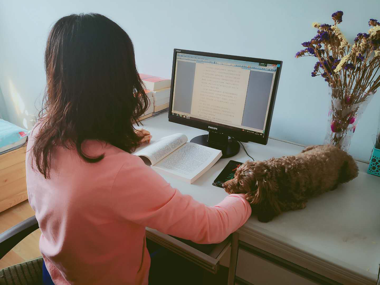 永吉法院居家隔离人员手记: 居家办公不松劲 网上拍卖解民忧