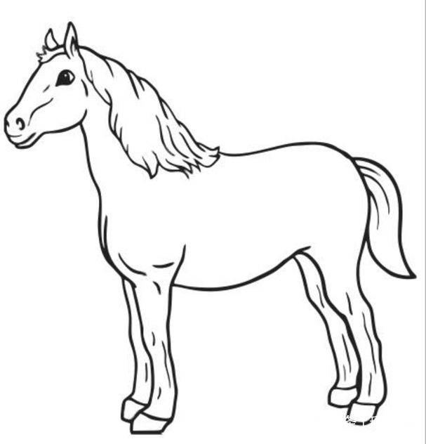 生肖马:六一过后,"百年大运"到来,人生开始上坡路!