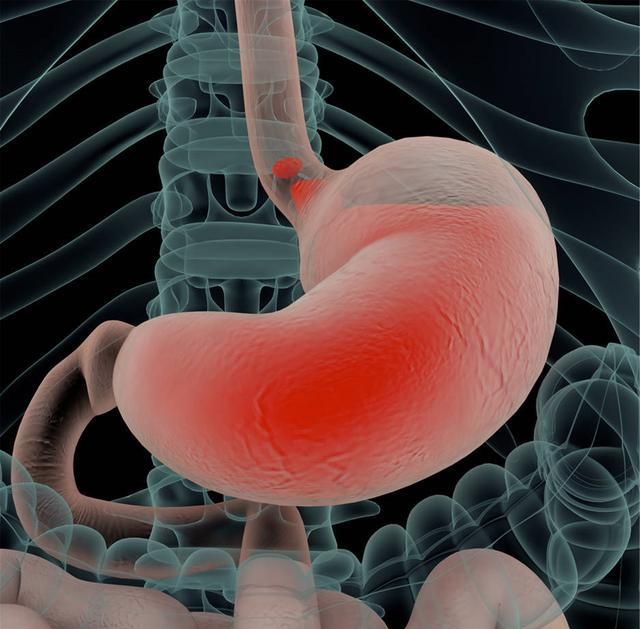 胃液酸性那么强,为何没把胃腐蚀掉?