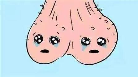 正文           身体出现哪些症状说明患上精索静脉曲?   1,睾丸萎缩