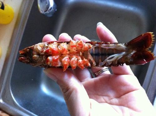 洗小龙虾,别只晓得一只只刷,用这水浸泡10分钟,洗得干净又彻底