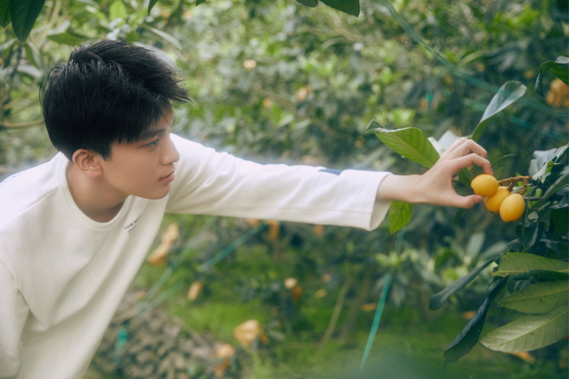 赵英博清爽夏日写真曝光少年脸尽展温柔侧颜杀