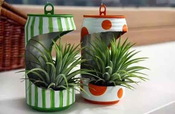 家里养花缺花瓶试试这11种创意花瓶材料都家里现取厉害了