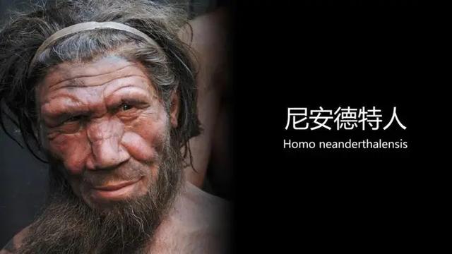 3万年前,尼安德特人为何灭绝?