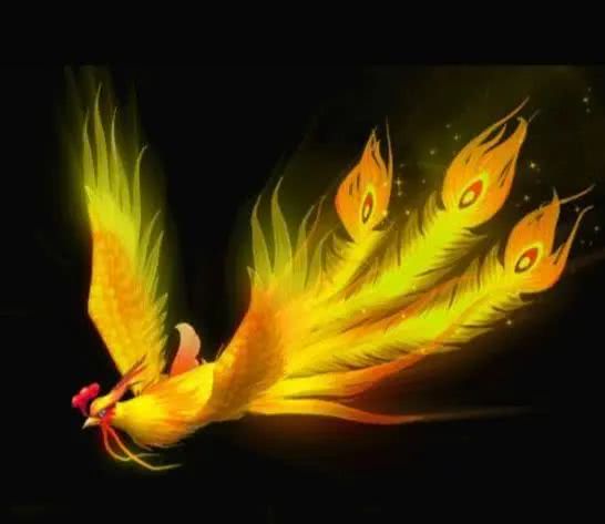 心理测试你最喜欢哪只凤凰测出你还需要多久就会飞黄腾达