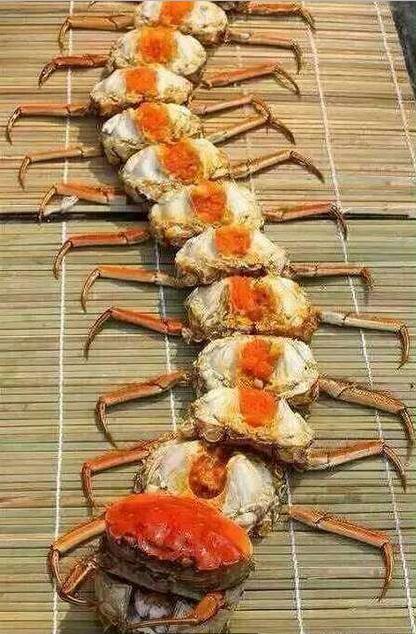 小伙留下吃完的蟹壳,开始拼装后,网友都给他跪下了