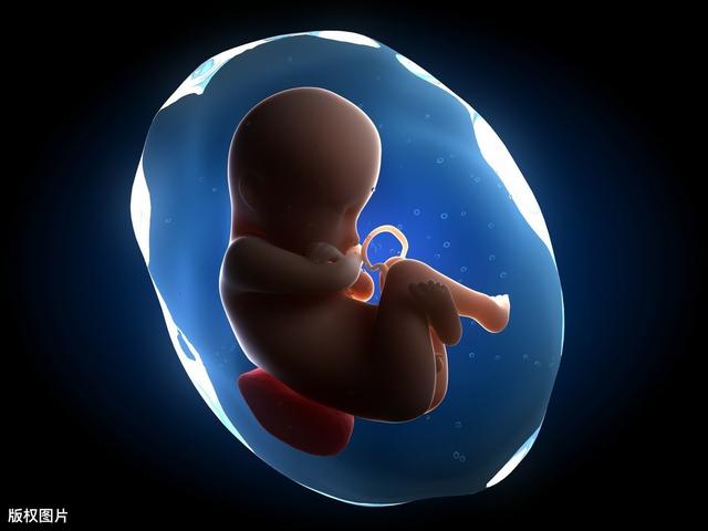孕期,若胎儿在孕妈腹中有这4种表现,预示着出生后智商会很高