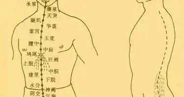 养生就要通冲脉|疾病|癌症_新浪新闻
