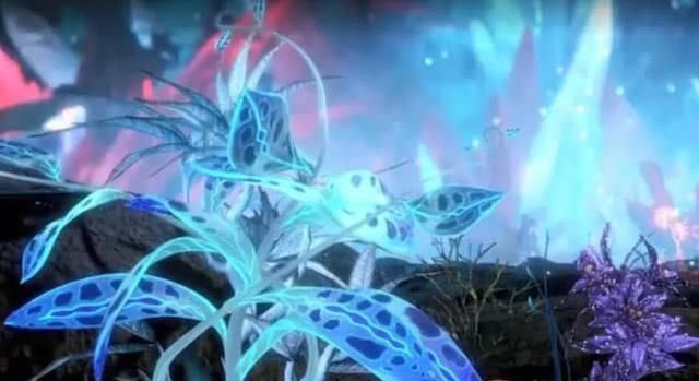 开篇唐三最先修炼的武魂就是蓝银草,继承于母亲蓝银