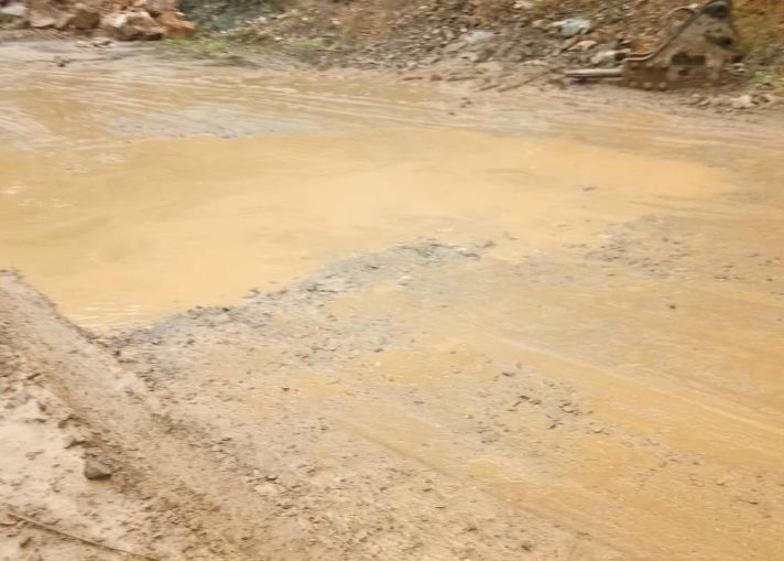 男子下班回家,发现雨后的泥坑全是鱼,但就是不敢伸手去捡