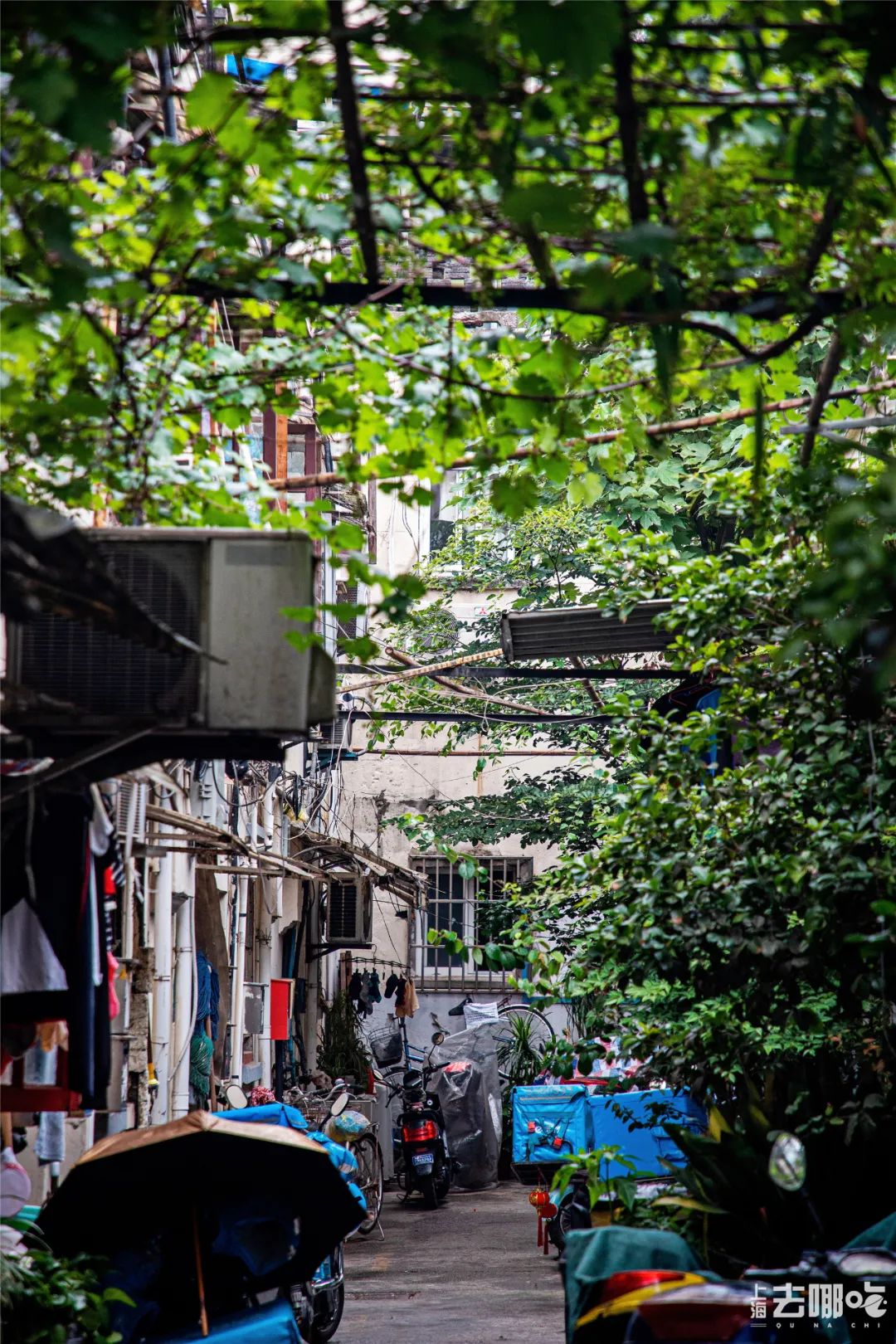 回忆杀!卢湾区超嗲百年马路,上海人永远记得你!