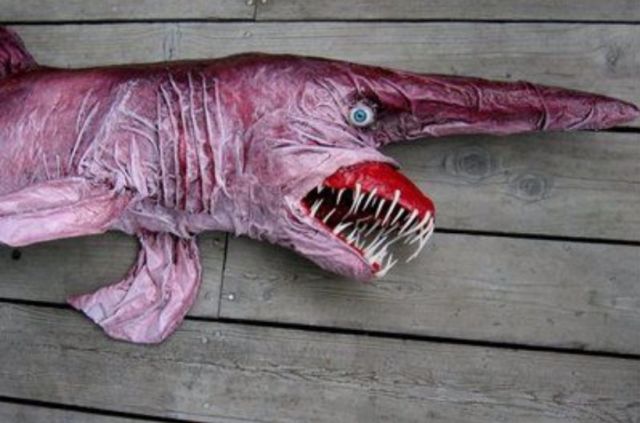 第四种就是地精鲨,外表看起来是不是很恐怖,如果换成动画片里面的背景