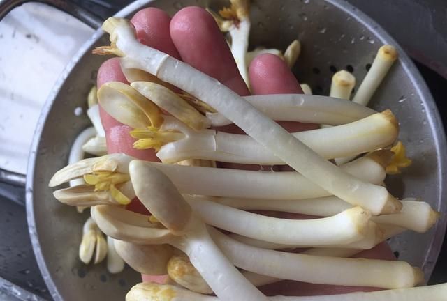 是不是比普通的豆芽粗很多?