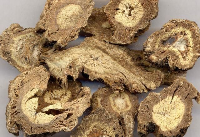 同是疏散风邪的中药材羌活和独活只是一字之差