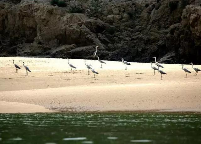 行走在粮宿滩,南边是悬崖峭壁,中间是小河流淌,北侧则是一片柔软的沙