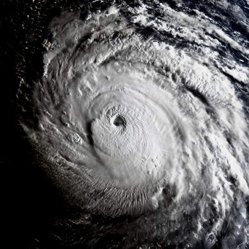 丹泽尔华盛顿飓风图片