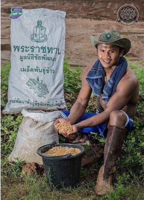 拳王播求身价过亿仍种田养鸡,网友大赞,一龙却被调侃"花和尚"