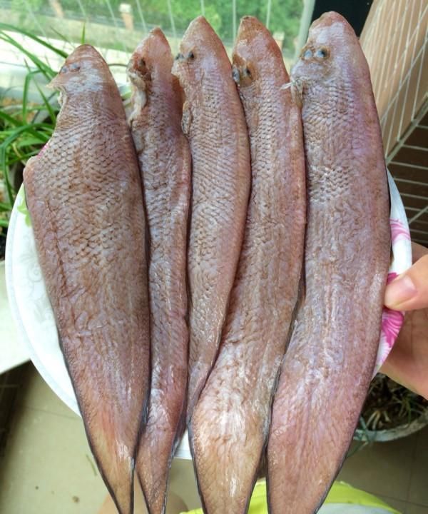 市场卖10块钱一斤的龙利鱼,鱼贩子自己都不吃|龙利鱼|巴沙|鱼_新浪新