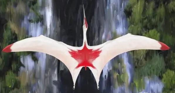 加拿大发现世界第一只"北风冷龙",风神翼龙地位受到挑战