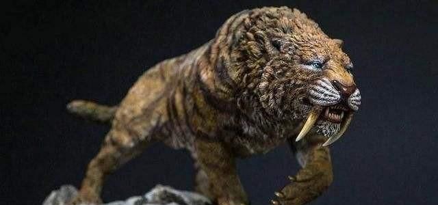 剑齿虎真的比老虎凶猛百倍吗为什么会灭绝了