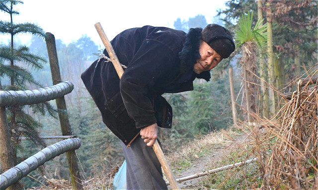 农村老人为什么背是驼的,城市老人却很少|老人|农村|驼背_新浪新闻