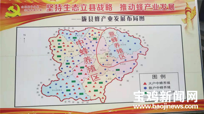 宝鸡陇县:小蜜蜂带动大产业 蜂农杨金荣带领贫困户酿出甜蜜生活