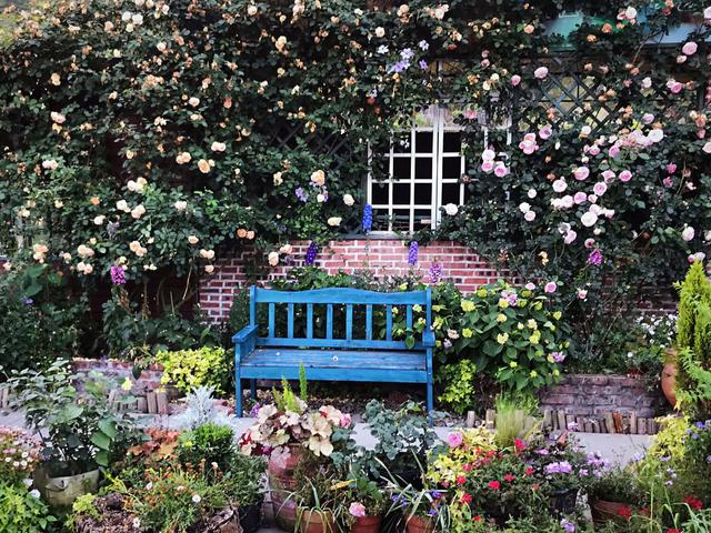 重庆北碚一个"秘密花园",满院子鲜花,是女生拍照的好地方