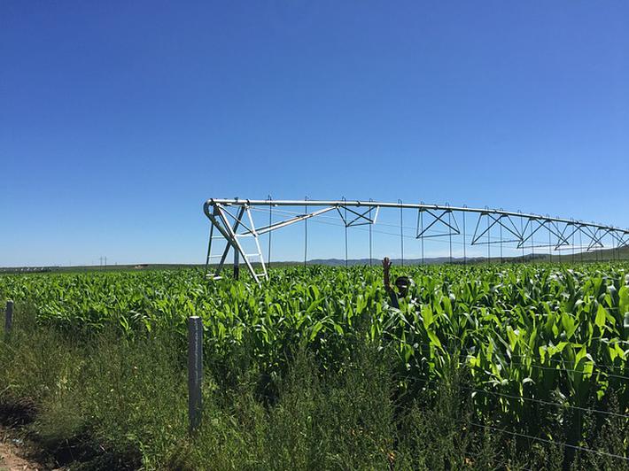 2020内蒙古省考成绩_重磅,内蒙古2020年公务员考试第一批公安系