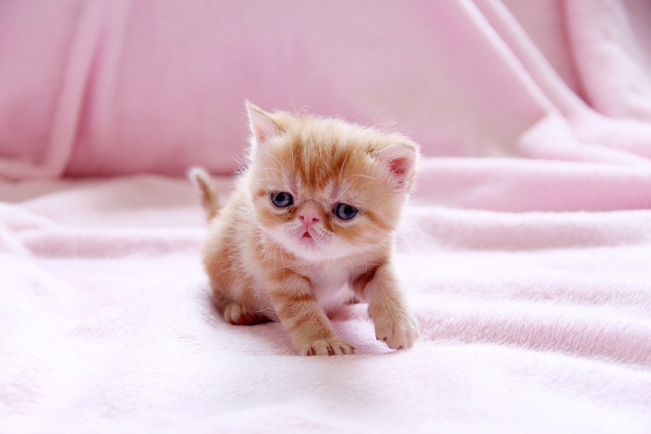 时光是一张白卷,至于卷子上写的是什么,得分多少全看你自己