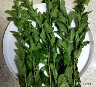 人间鲜百味,养生百味汤,教你在家煮出营养美味汤|胡椒粉|枸杞叶|黄鳝