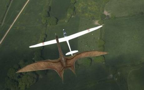 加拿大发现世界第一只"北风冷龙",风神翼龙地位受到挑战