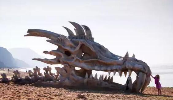 男子海边发现一条龙骨,连忙报警,专家鉴定后让人不淡定