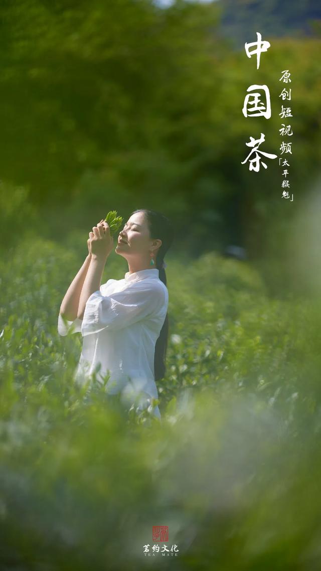 茶仙子带你逛中国茶的"心之向往"之地