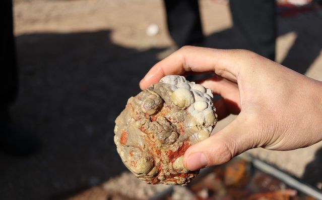 农村小伙去东北捡石头卖,硬币大小的就要上百元