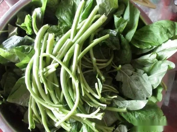 蔬菜中"补铁王"被发现,铁是菠菜6倍,女性常吃,补血又护眼