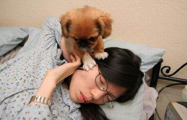 狗狗叫人起床的5种方式遇到第3种算好了简直不要太粗暴