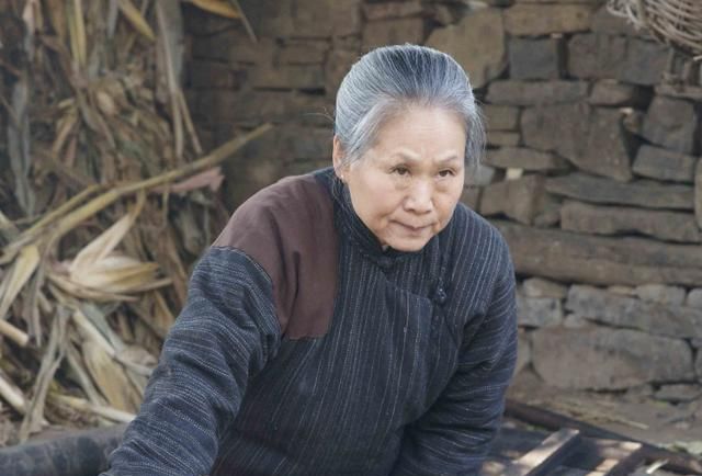 凭借安家大表姑奶奶大火,曾被儿子意外带入圈中