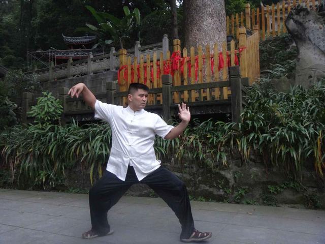 太极雷雷痛骂军警格斗专家:比马保国还能吹,不折不扣的败类