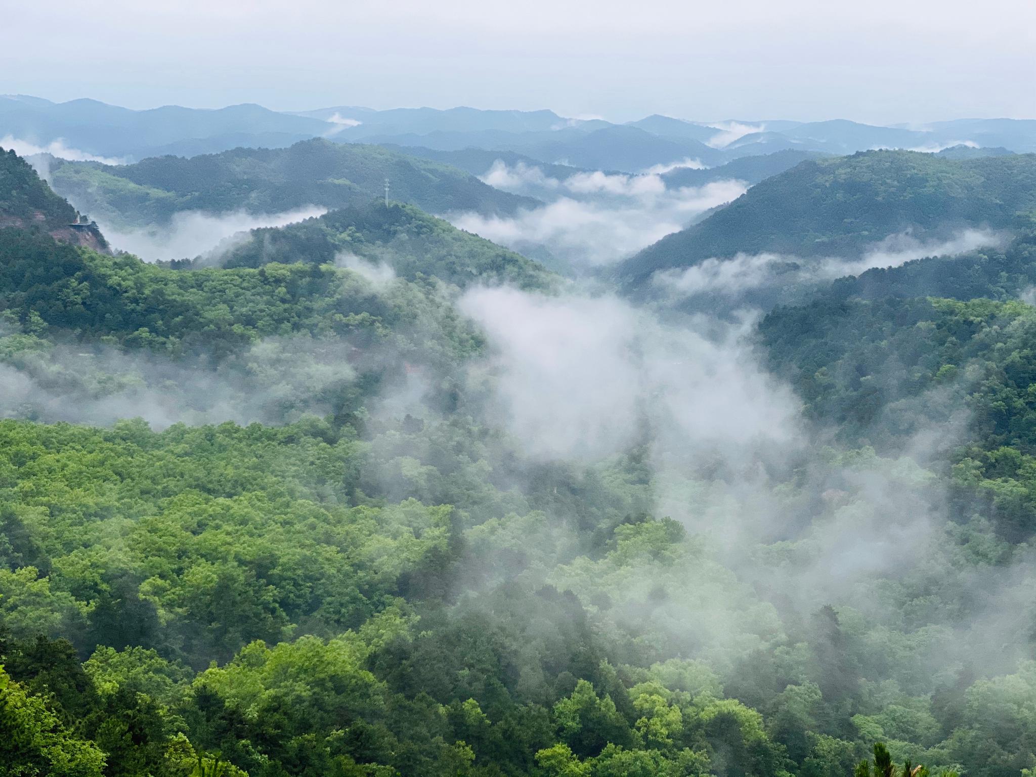 黄陵国家森林公园现云海仙境