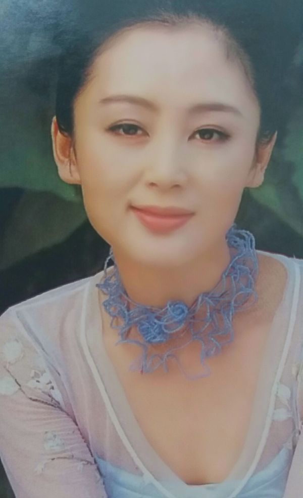 陈红|女明星|美人_新浪新闻